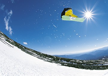 tailgrab.jpg